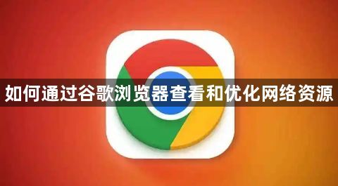 如何通过谷歌浏览器查看和优化网络资源1