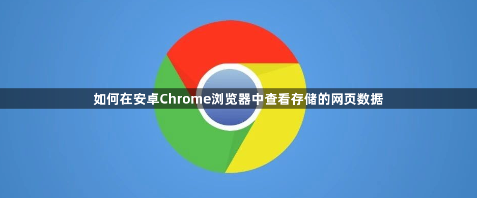 如何在安卓Chrome浏览器中查看存储的网页数据1