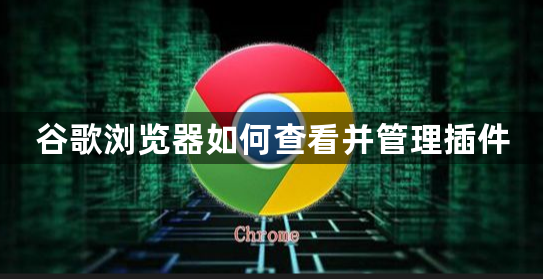 谷歌浏览器如何查看并管理插件1