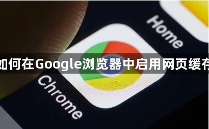 如何在Google浏览器中启用网页缓存1