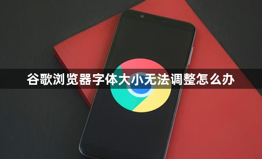 谷歌浏览器字体大小无法调整怎么办1