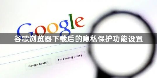 谷歌浏览器下载后的隐私保护功能设置1