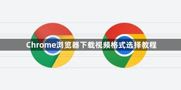 Chrome浏览器下载视频格式选择教程1