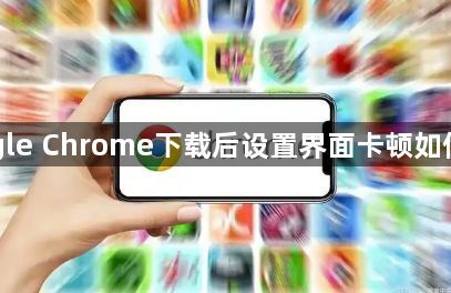 Google Chrome下载后设置界面卡顿如何优化1