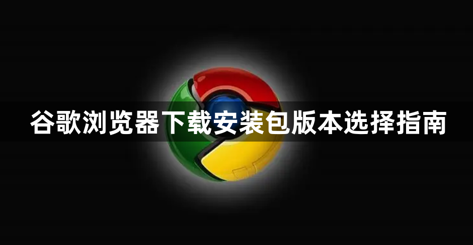 谷歌浏览器下载安装包版本选择指南1