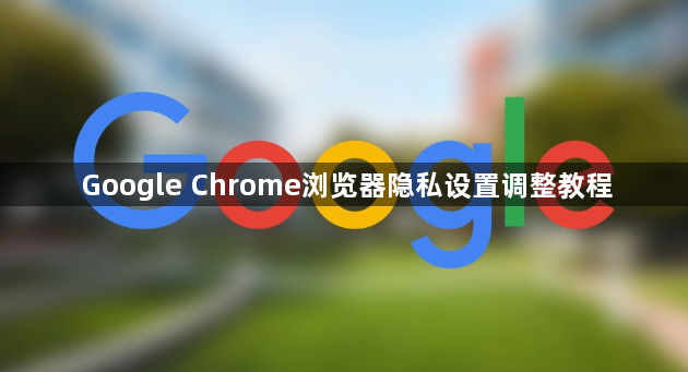 Google Chrome浏览器隐私设置调整教程1