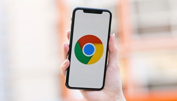 Google Chrome浏览器页面加载加速1