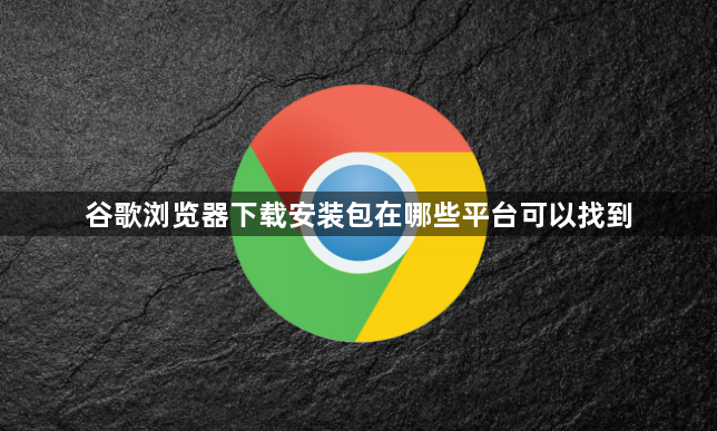 谷歌浏览器下载安装包在哪些平台可以找到1