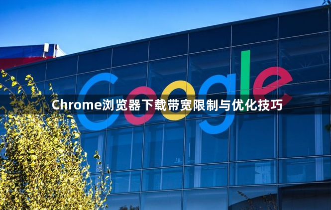 Chrome浏览器下载带宽限制与优化技巧1