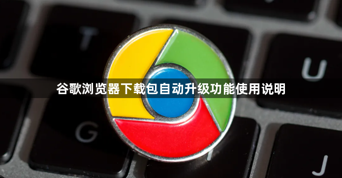谷歌浏览器下载包自动升级功能使用说明1