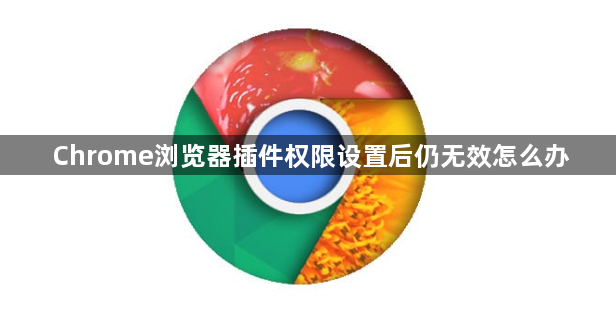 Chrome浏览器插件权限设置后仍无效怎么办1
