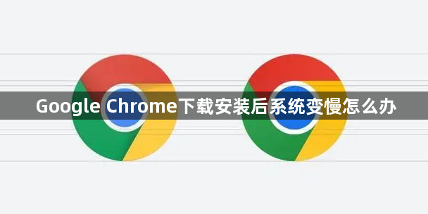 Google Chrome下载安装后系统变慢怎么办1