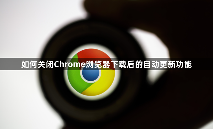 如何关闭Chrome浏览器下载后的自动更新功能1