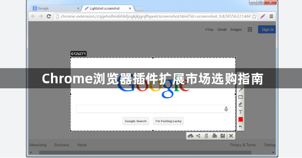 Chrome浏览器插件扩展市场选购指南1