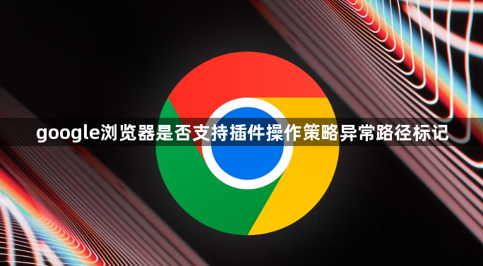 google浏览器是否支持插件操作策略异常路径标记1