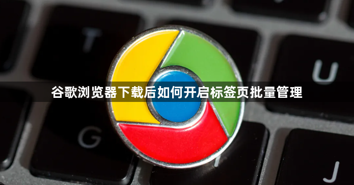 谷歌浏览器下载后如何开启标签页批量管理1