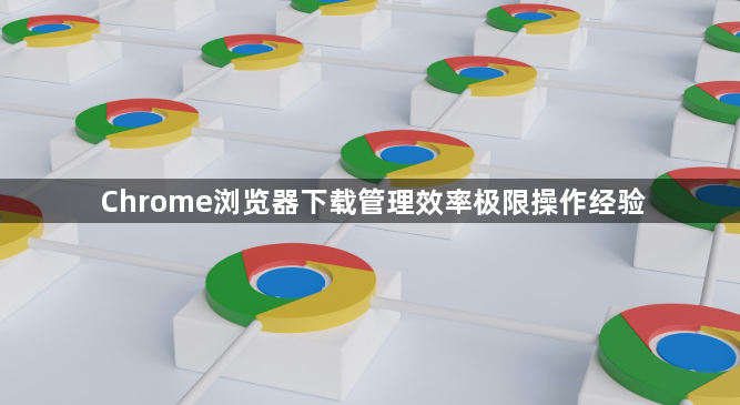 Chrome浏览器下载管理效率极限操作经验1