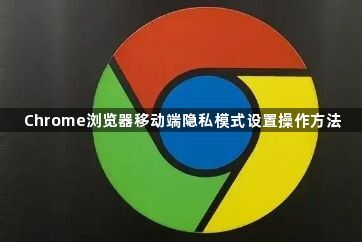 Chrome浏览器移动端隐私模式设置操作方法1