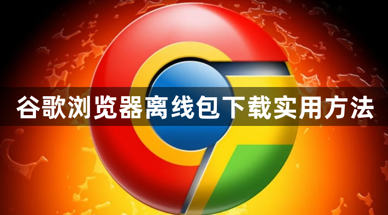 谷歌浏览器离线包下载实用方法1