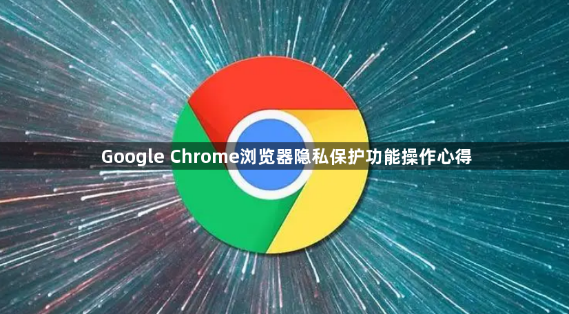 Google Chrome浏览器隐私保护功能操作心得1