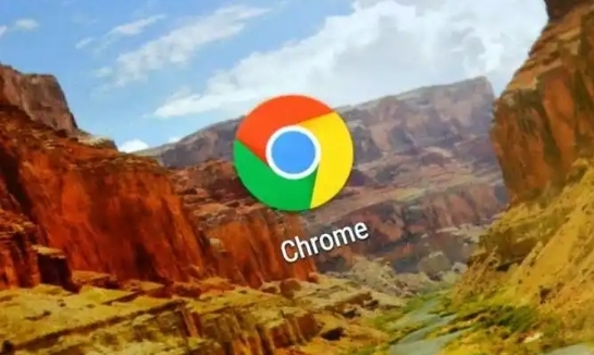 Chrome浏览器缓存加速网页加载操作实战技巧