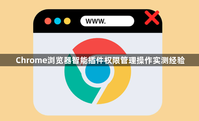Chrome浏览器智能插件权限管理操作实测经验1