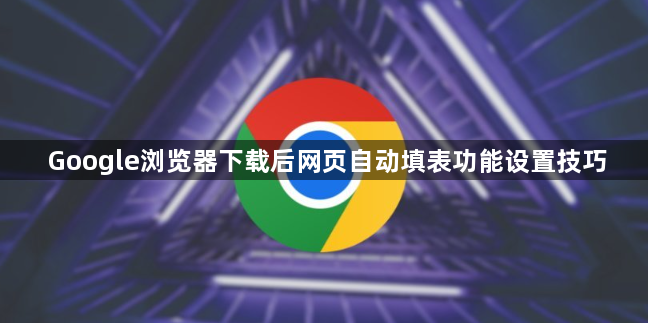 Google浏览器下载后网页自动填表功能设置技巧1